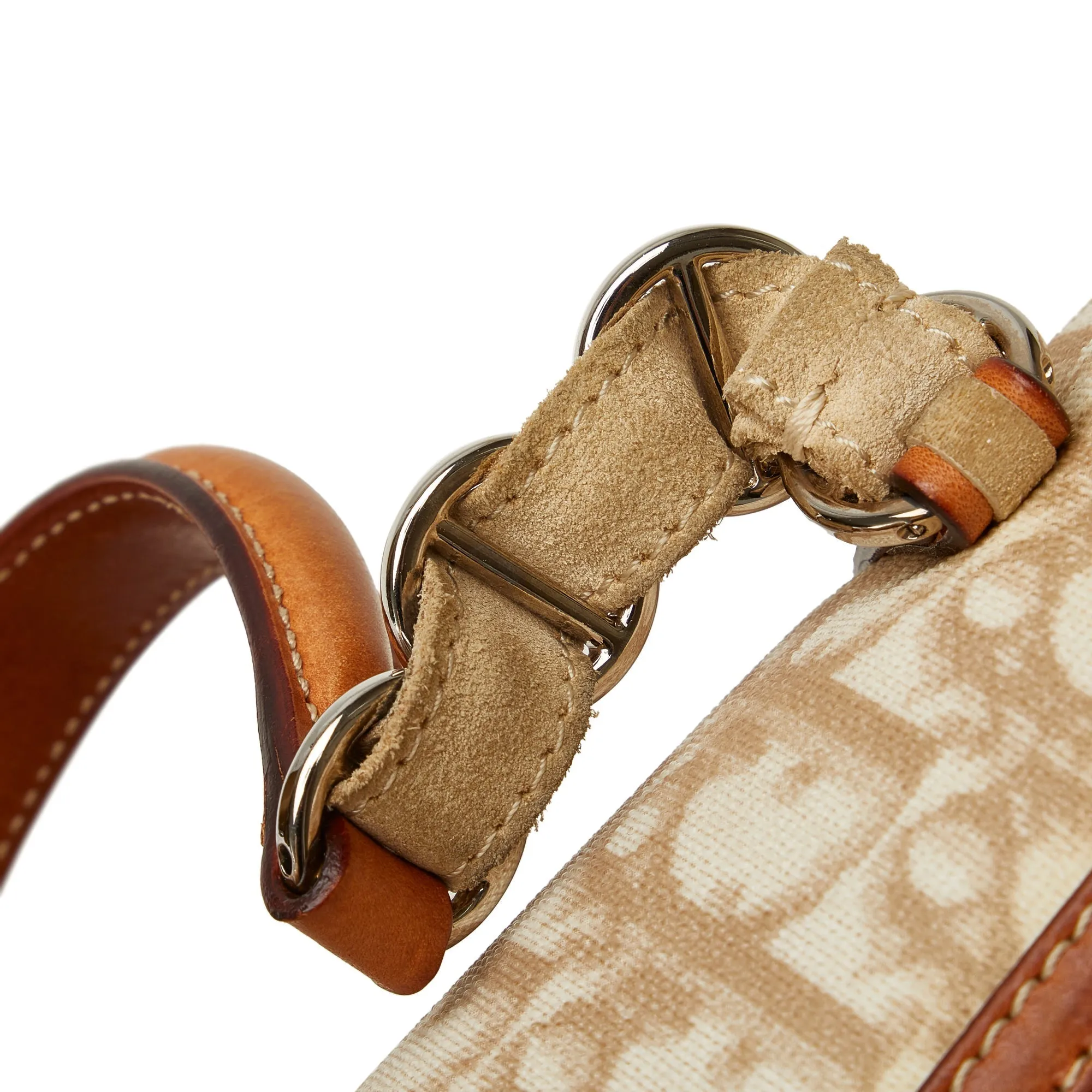 DIOR Oblique Romantique Handbag