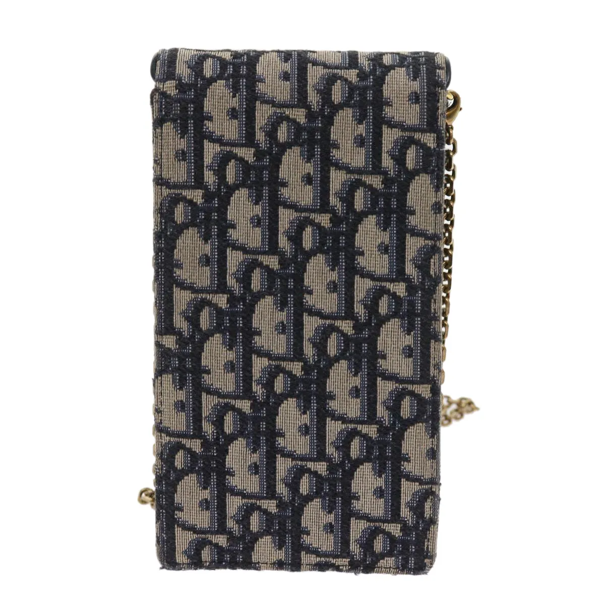 Dior Saddle Clutch Bag